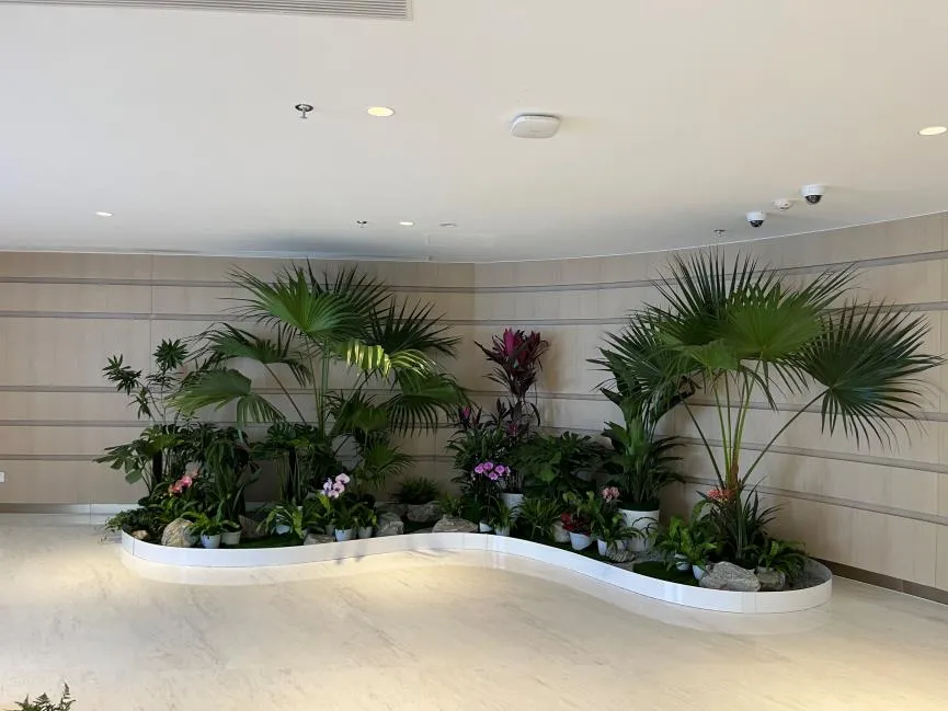 宁波奉化植物租赁方案